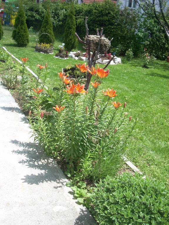 Apartments Jeca Zlatibor Exterior photo